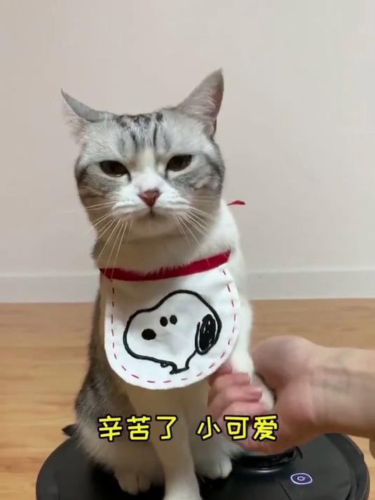 新家大扫除！和泡芙一起收拾，就等家具进场开启新生活