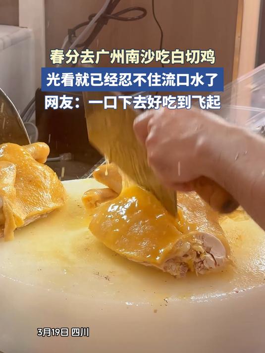 春分去广州南沙吃白切鸡,光看就已经忍不住流口水了。#花满春城我代言#