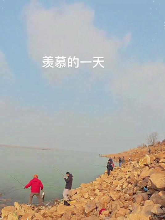 这么大的野生桂鱼!