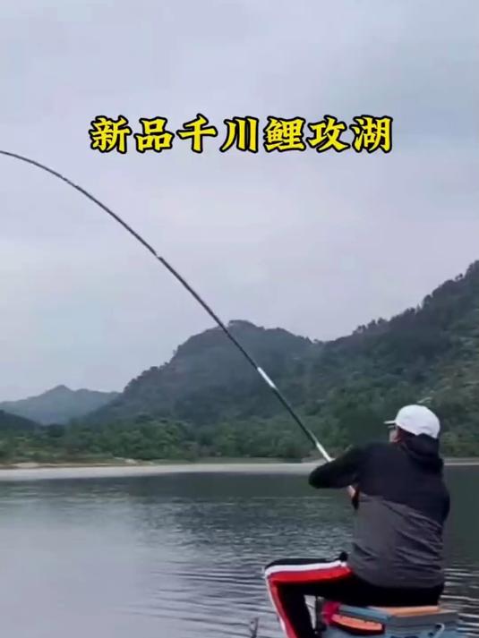 全水域通杀!千川鲤鱼竿,不同长度适配多样钓点,大小鱼都能钓!