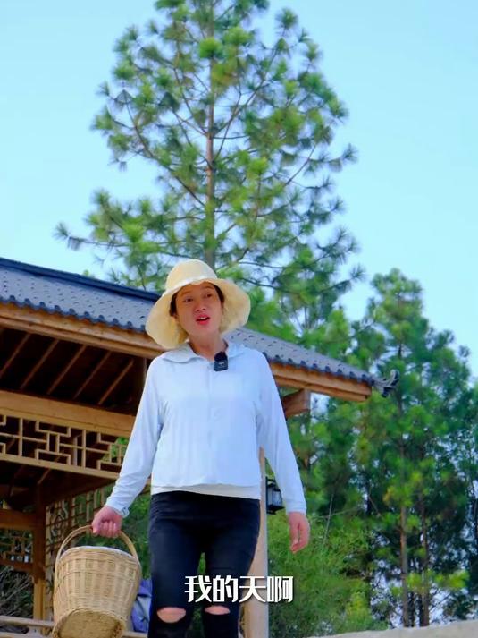 老李用一车鹅卵石给鱼池做装饰,花了三天时间才贴出来一条小路
