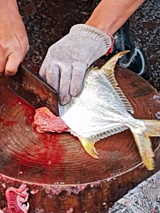 一万吨,金鲳鱼产量超大黄鱼,成2023年冠军