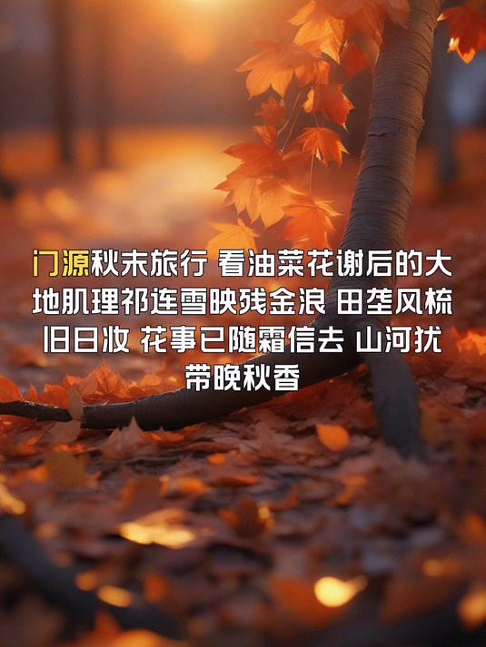 门源秋末旅行,看油菜花谢后的大地肌理