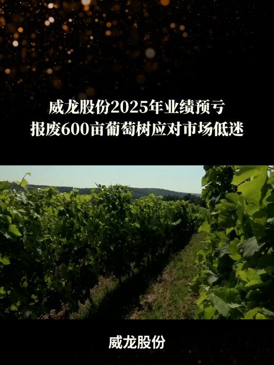 “有机葡萄酒首股”计划砍掉600亩葡萄林！