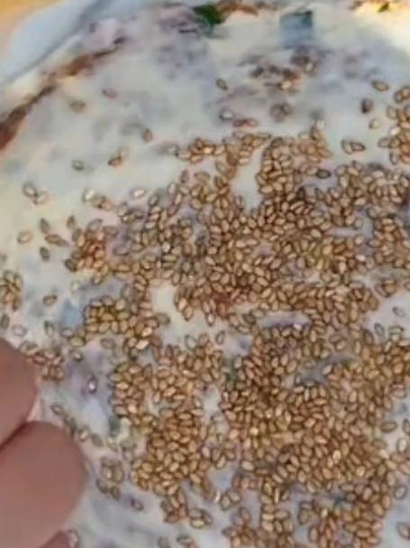 今天给大家分享一个手抓饼做法