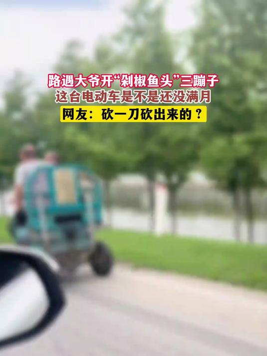 路遇大爷开“剁椒鱼头”三蹦子,这台电动车是不是还没满月