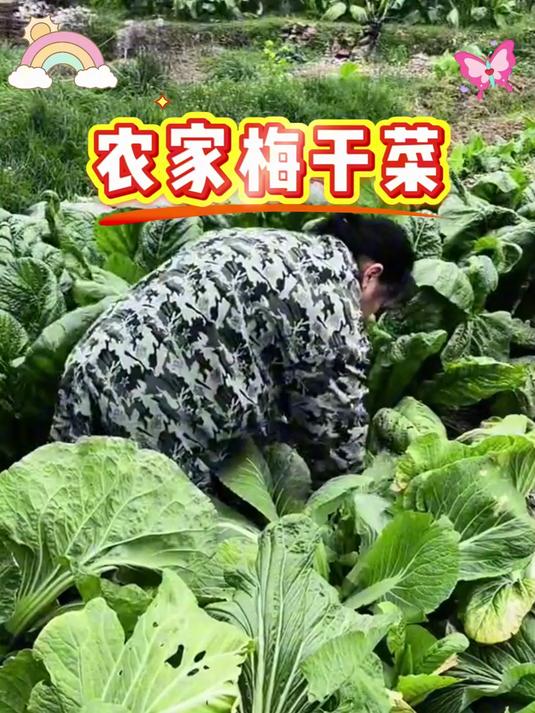 绍兴风味梅干菜 扣肉烧饼绝配
