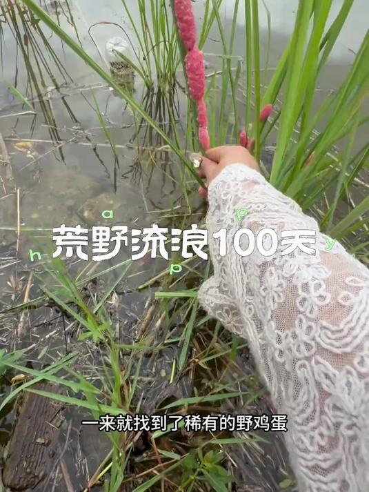 冬天拒绝吃美味的烤鸡蛋