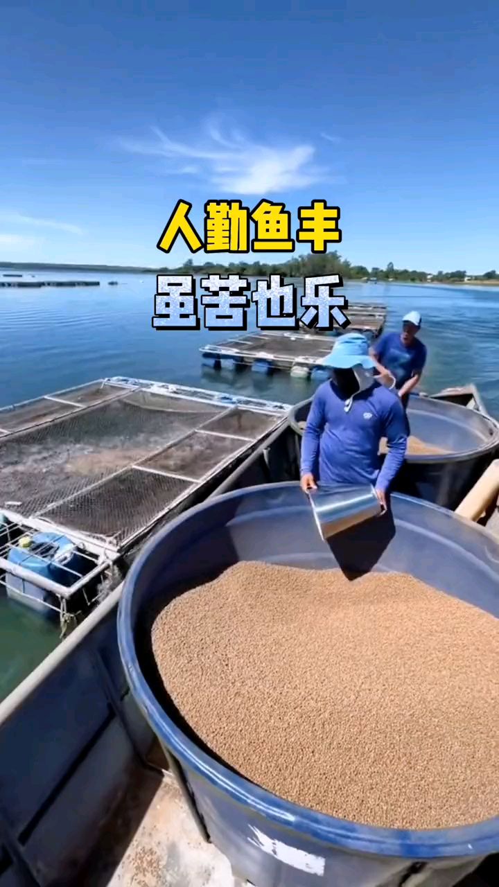 加油水产人,加油