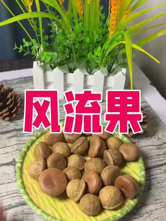 风流果煲汤泡酒#滋补养生##草本养生##草本滋补品##风流果煲汤##养生煲汤料##风流果泡