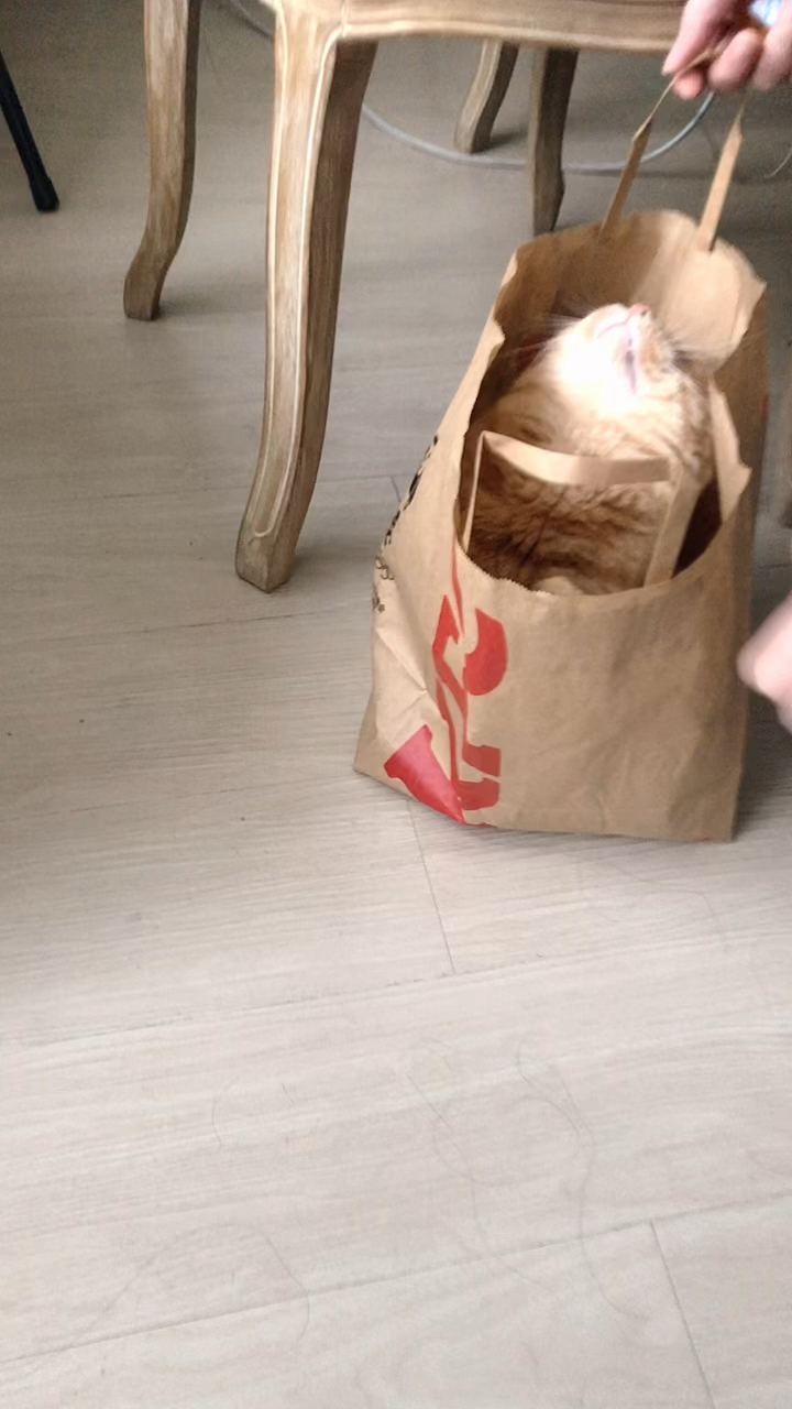 看看肯德基新出的“早餐”