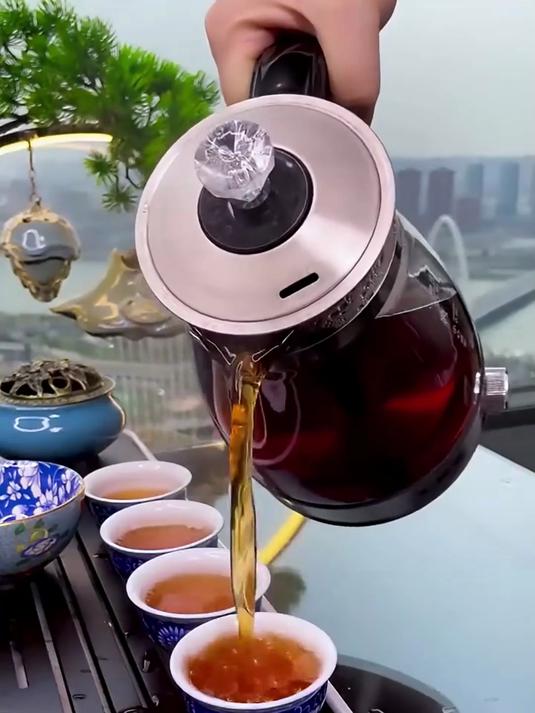煮茶器中的战斗机!多功能蒸汽煮茶器,一壶煮百茶!