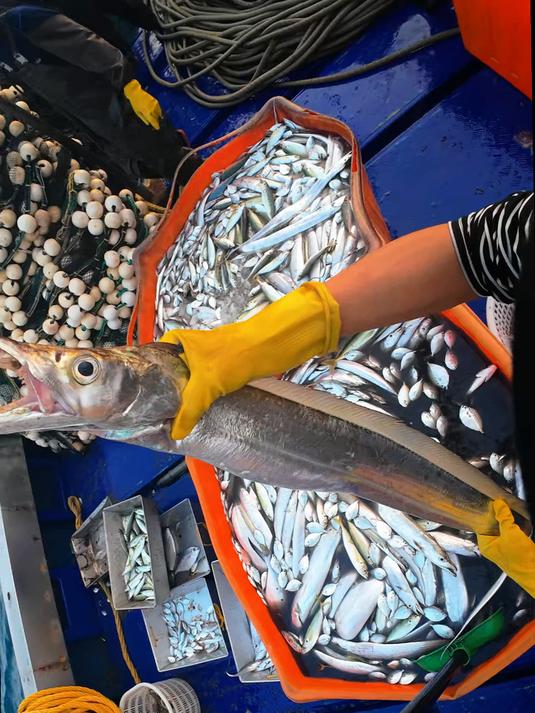 渔民真实出海捕鱼日记