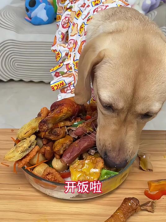 红烧肉盖饭