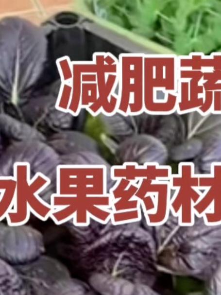 减肥蔬菜水果药材合集!