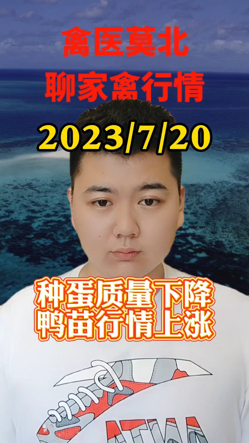 7月20号最新鸭价,白鸭苗抬头上调,继续上涨1-2毛,目前鸭苗最高报价2.2,最低处在1.