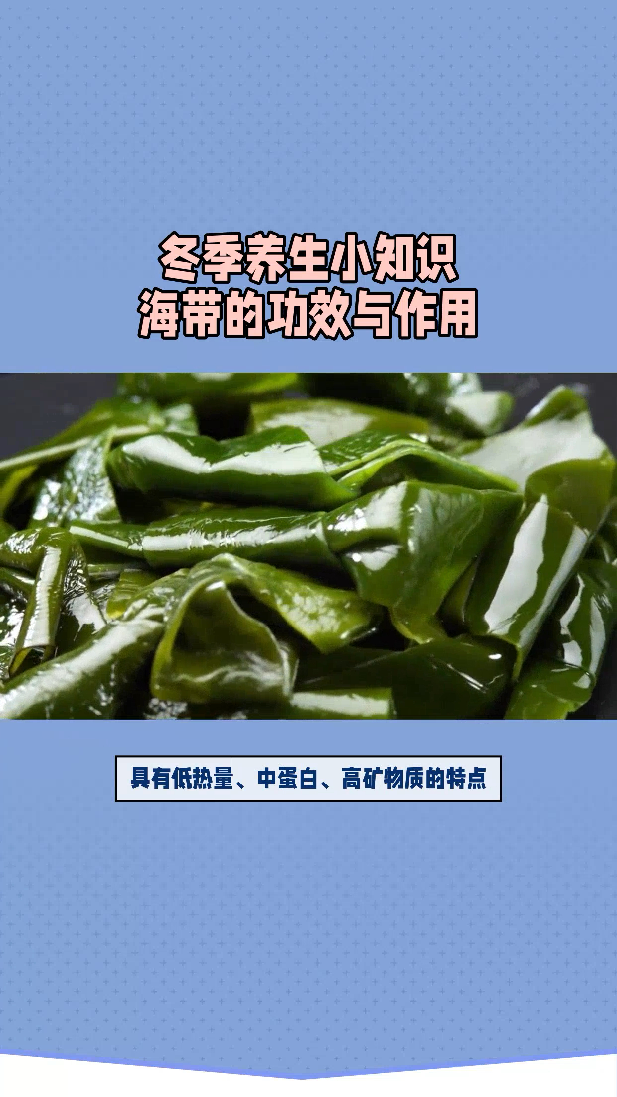 冬季养生小知识:海带的功效与作用