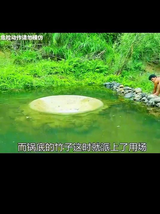 海滨拾趣，捕鱼能手展风采