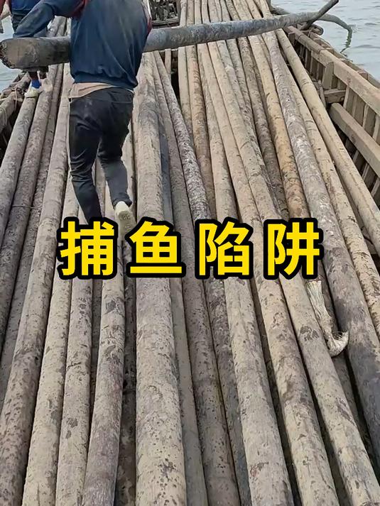 捕鱼陷阱,利用潮汐涨落来捕鱼!