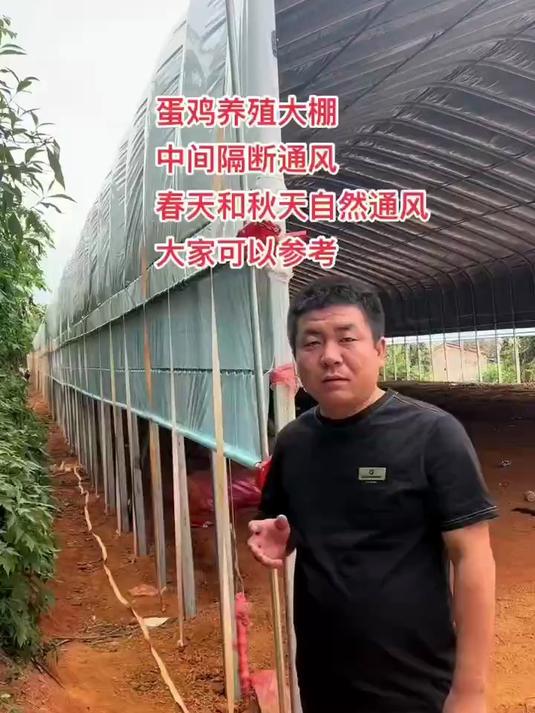 养鸡大棚的通风系统设计介绍