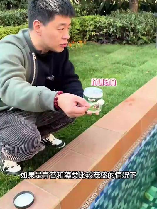 石头造景鱼缸极易附着绿藻,安全无刺激除藻剂清洁造景还原鱼缸美感#春夏必备家居神器##鱼缸清