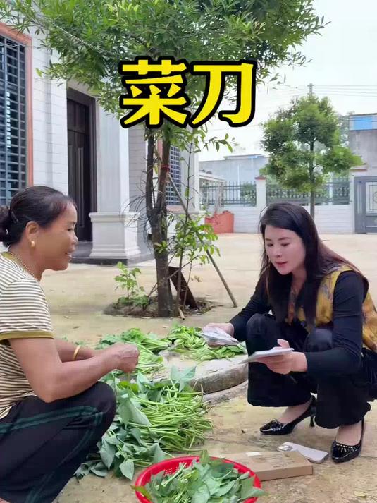 斩切刀一刀两用!切菜锋利如行云,家用厨房好帮手