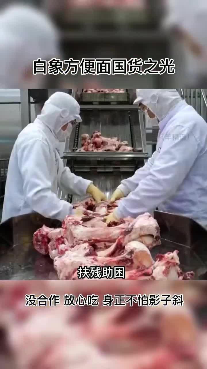 小杨哥推荐国货之光白象方便面