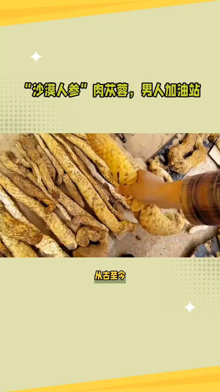 肉苁蓉被称为男士加油站,它这两个作用你知道吗?只有这个才能叫肉苁蓉