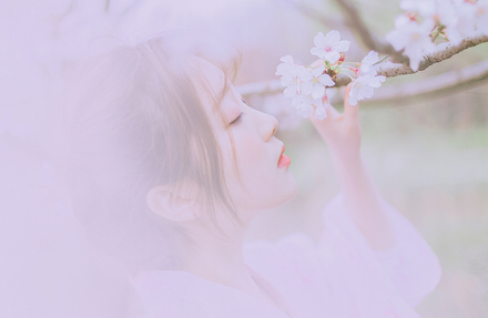 听见花开的声音-六色网