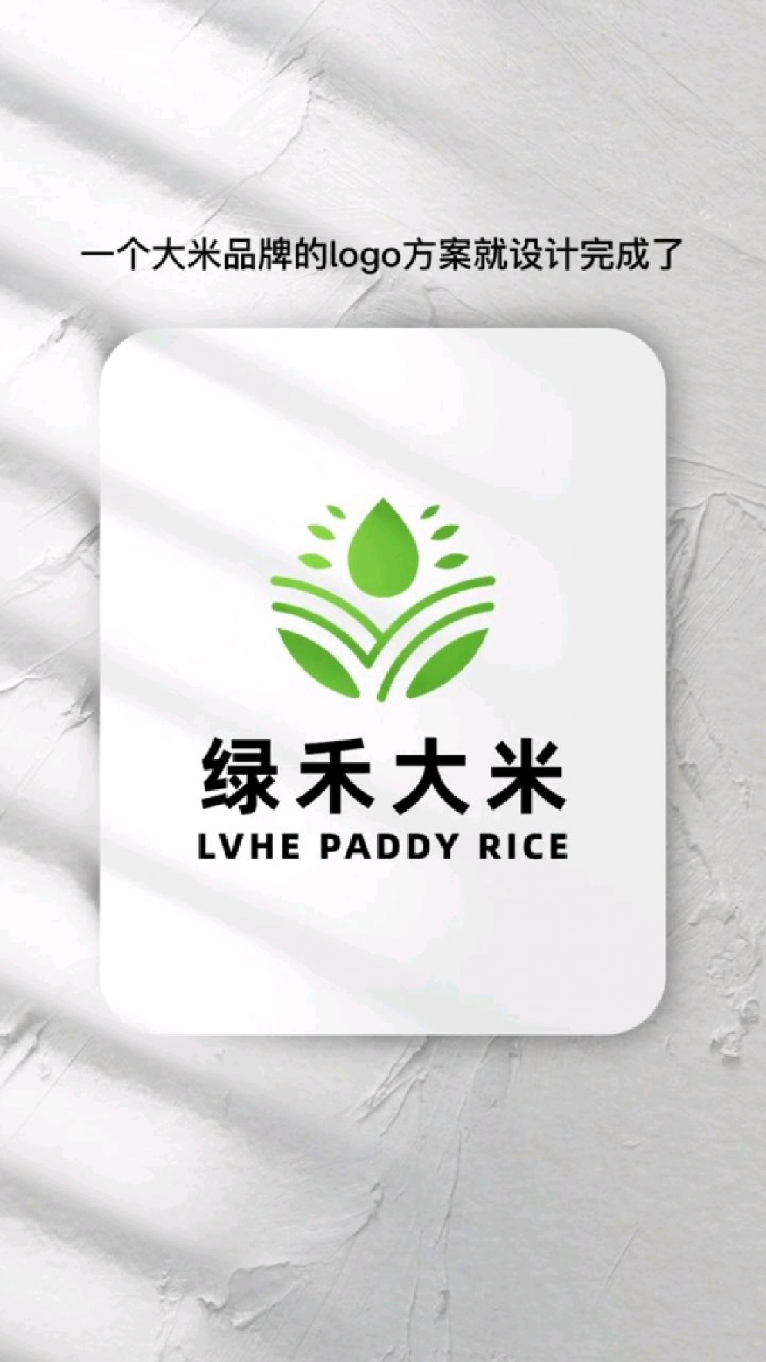 今天设计一个大米公司的logo,一定要让logo有灵魂有含义