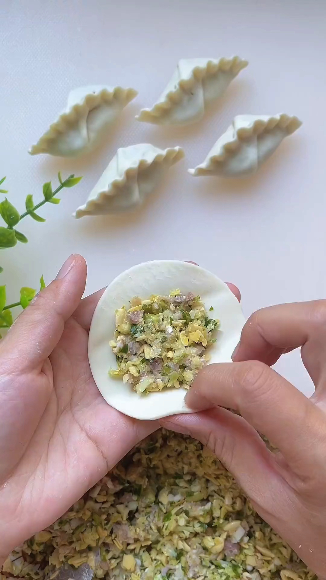 一看就能会的花边饺子包法