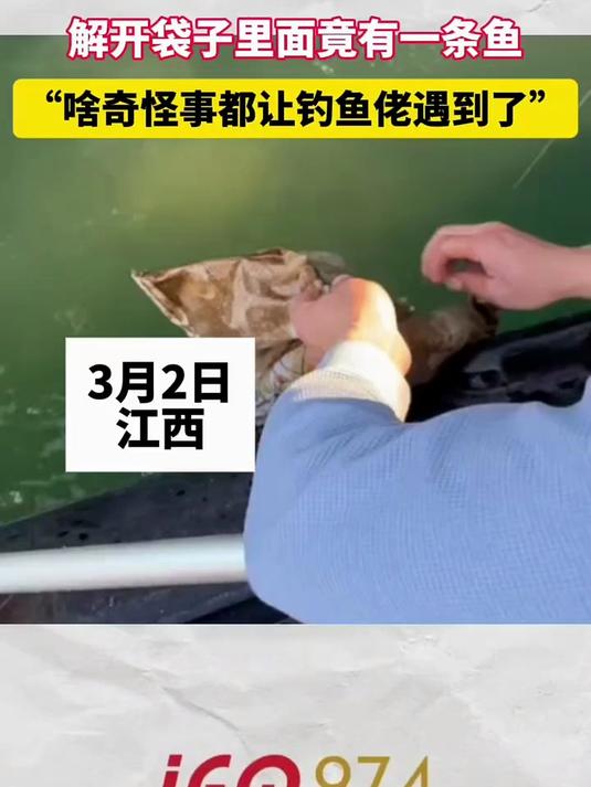 钓鱼佬河中钓上一个袋子，袋子里面竟有一条鱼