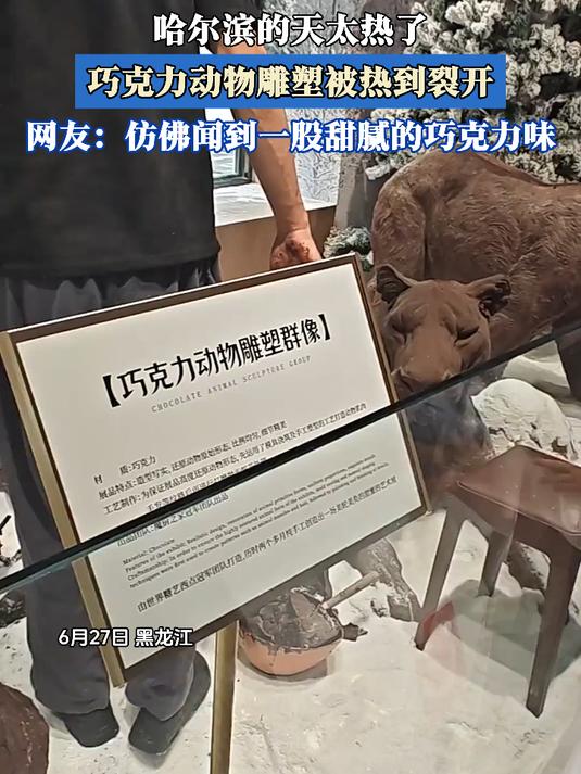 哈尔滨的天太热了,巧克力动物雕塑被热到裂开