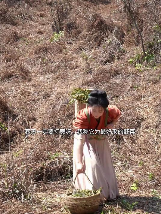 今天吃刚冒头的野蕨菜～我称它为湖南的山野之王