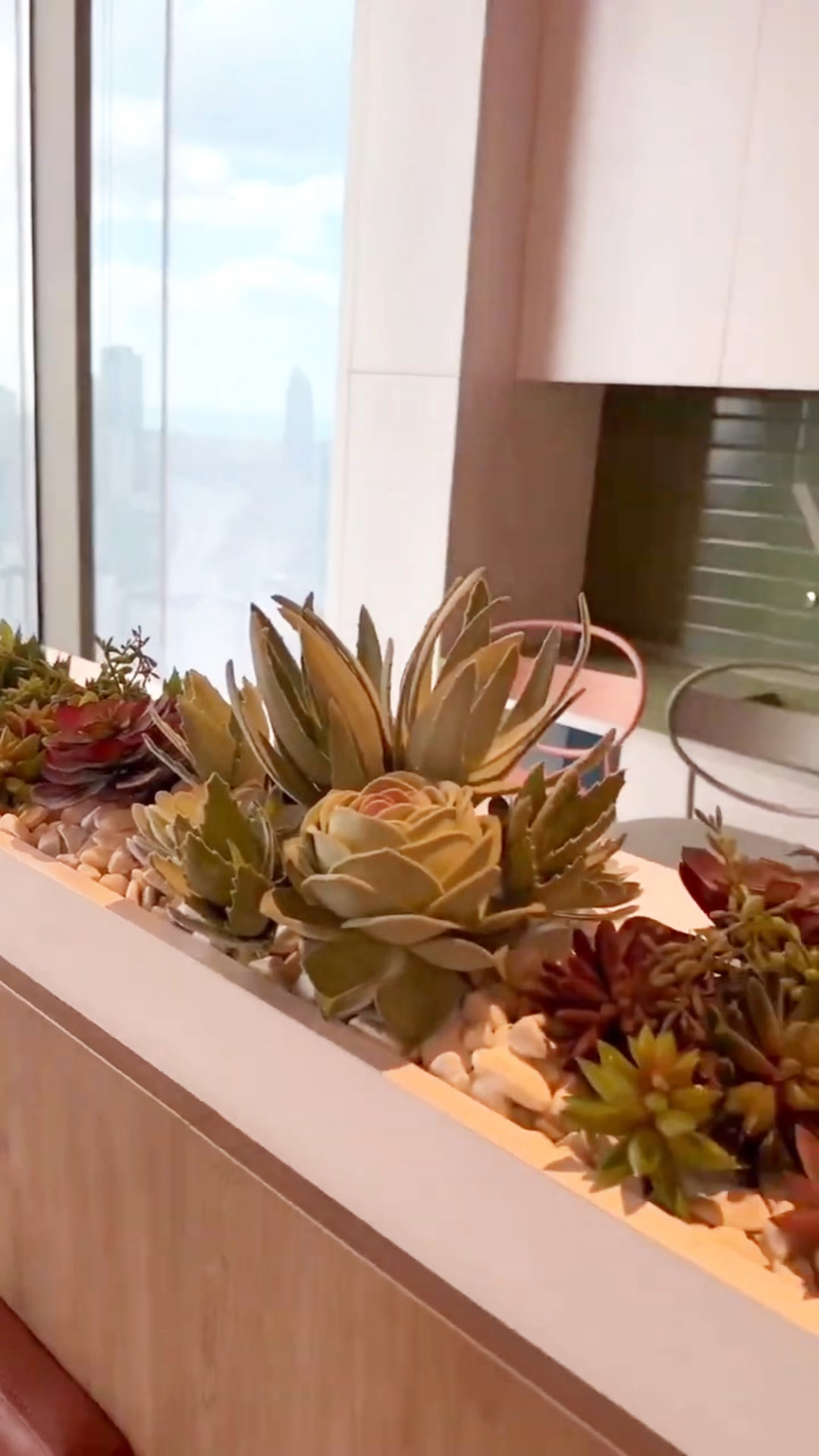 室内光线不好,无人照料植物,那用仿真多肉造景