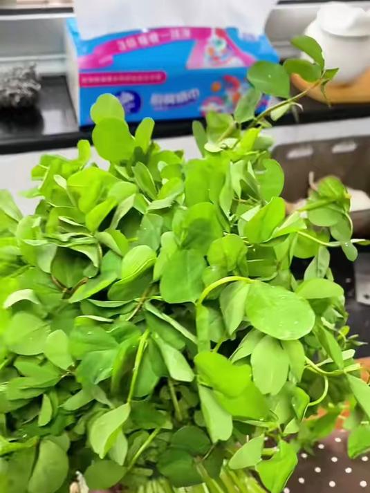 张红超_花草花草炒年糕,草没变吃草的变了,哈哈哈_家常菜