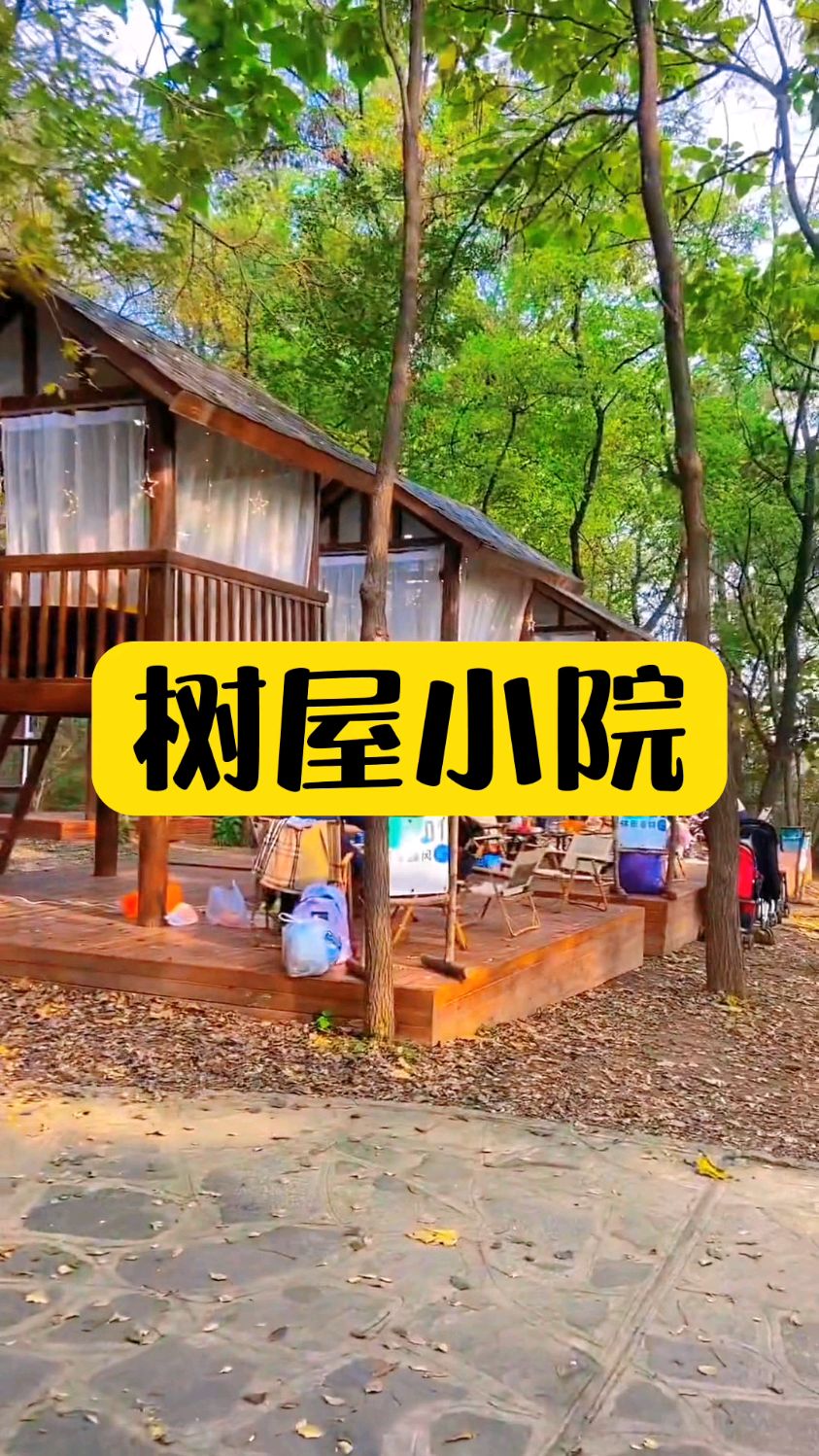 网红树屋小院