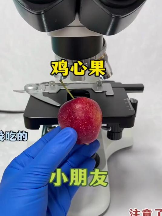鸡心果看完你还敢吃吗?