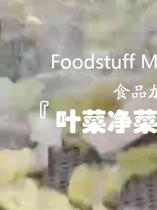 全自动叶菜净菜加工生产线设备 乡村振兴农产品加工流水线