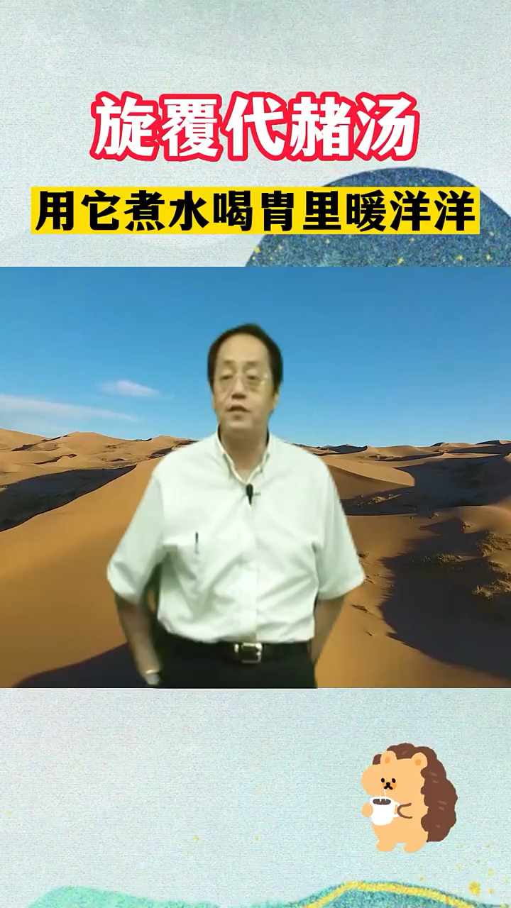 旋覆代赭汤,用它煮水喝胃里暖洋洋