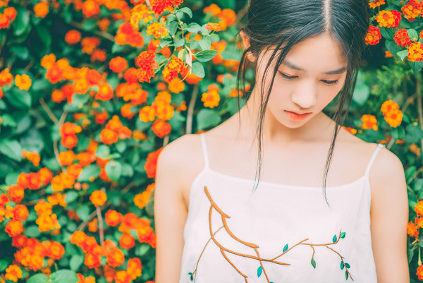 图片[5]-花无语-六色网