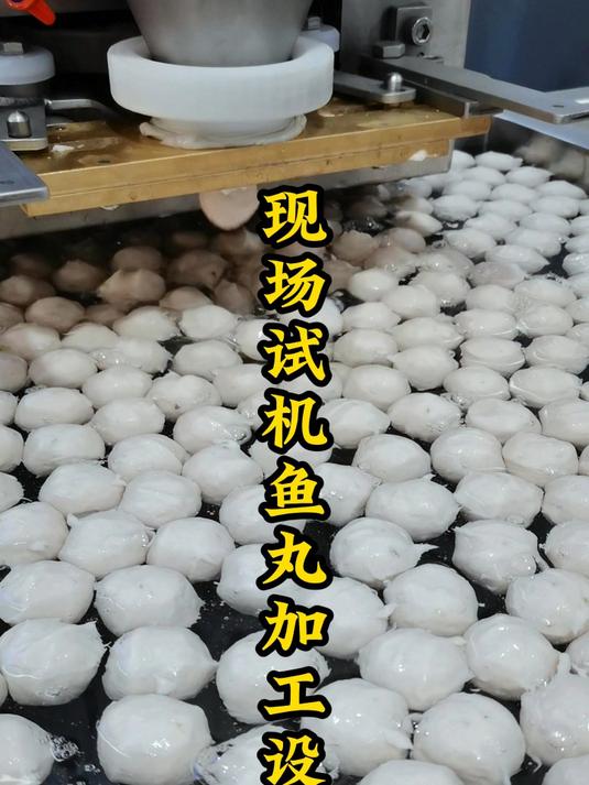 现场加工测试全套鱼丸设备,自动化加工制作鱼丸