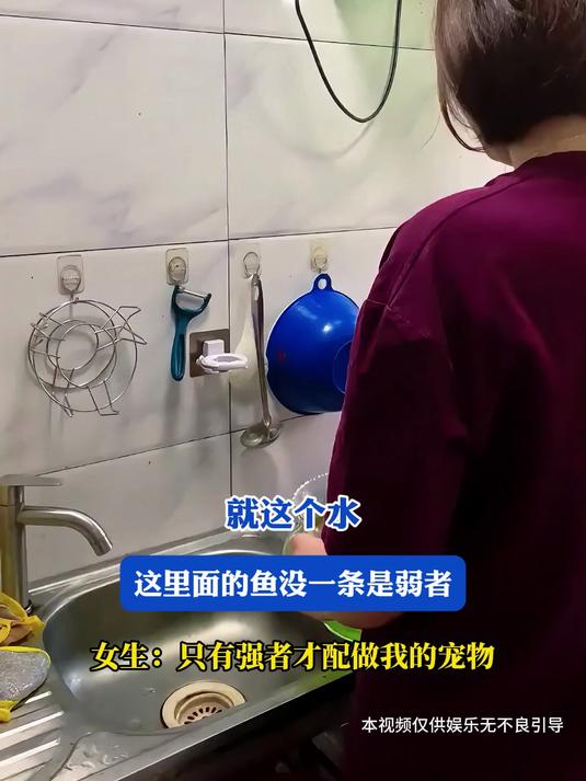 就这个水这里面的鱼没一条是弱者！女生：只有强者才配做我的宠物