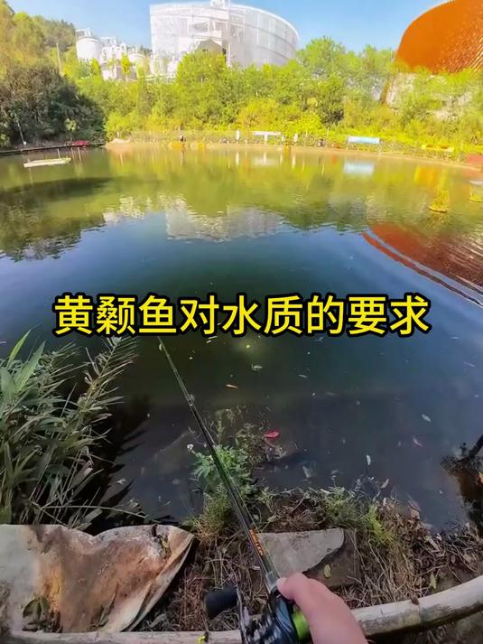 想养好黄颡鱼？先看看它对水质有哪些讲究