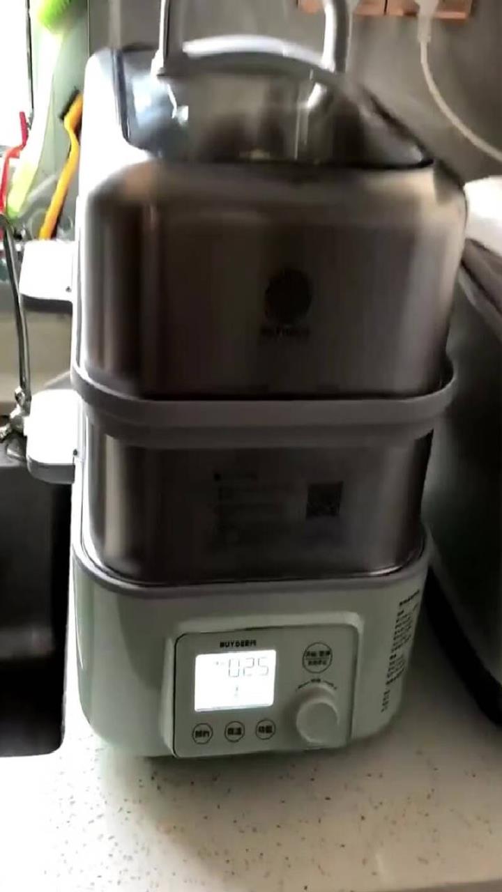 北鼎(Buydeem)蒸炖锅家用电蒸锅多用途锅