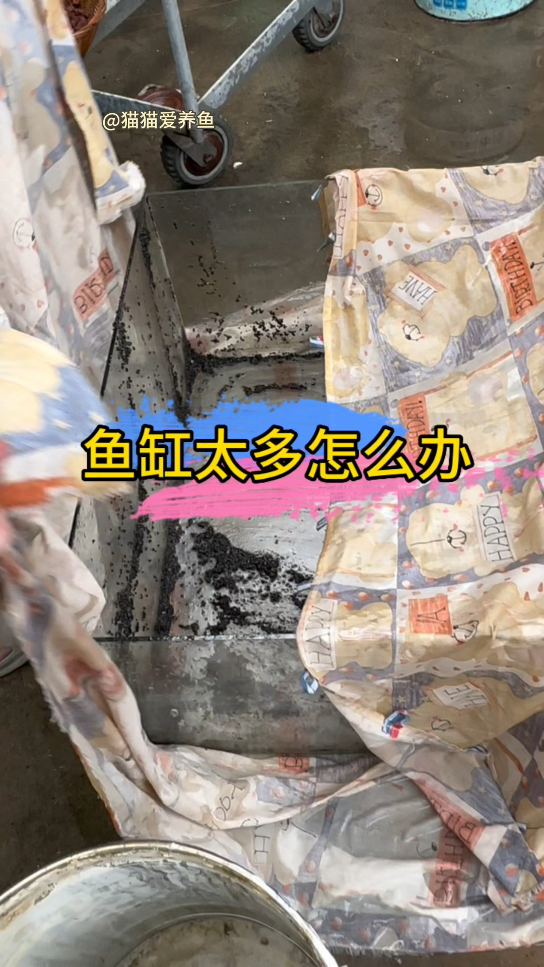 鱼缸太多,你是怎么处理的?