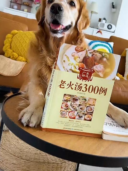 煮熟的鸭子真的飞走了！
