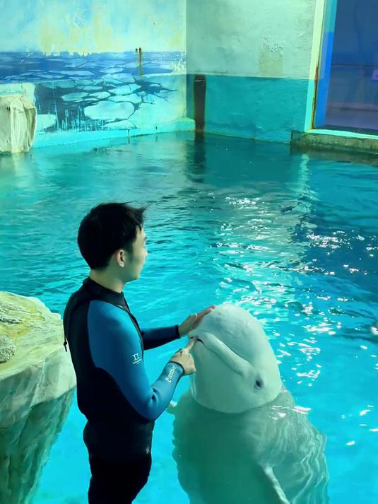 我们鲸鱼不是鱼哦，大家以后可别叫错啦