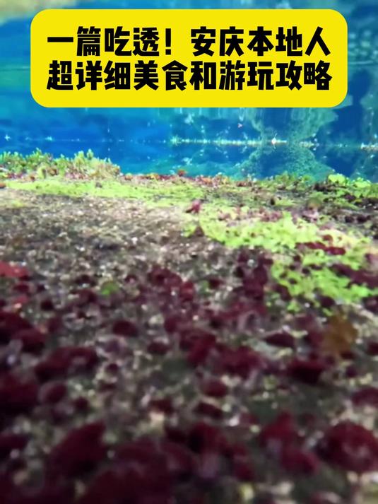 一篇吃透!安庆本地人超详细美食和游玩攻略