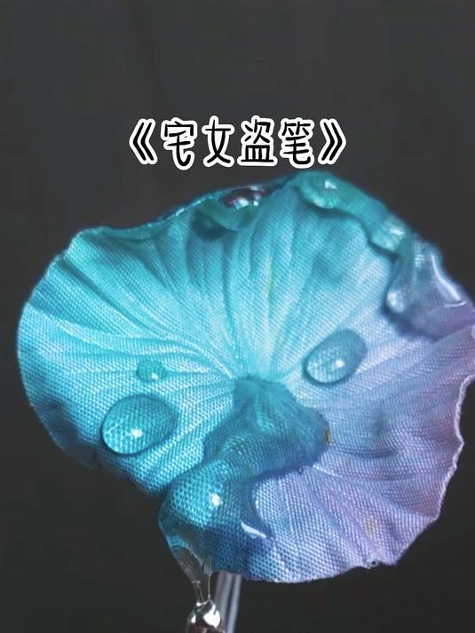 《宅女盗笔》第26章 花儿爷，咱开始吧，看着久违的五人